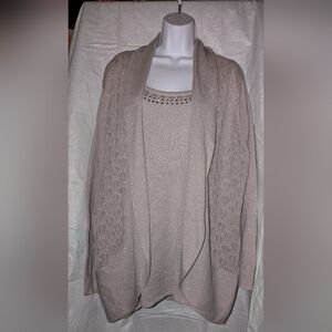 Briggs sweater size 2X